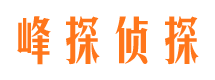 阜南寻人公司